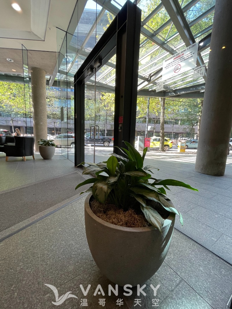 260730182640_938- Howe St 4.jpg